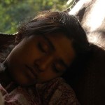 Vanastree Camps Gallery 21