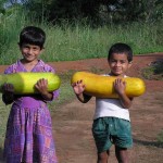 Vanastree Camps Gallery 29