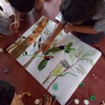 Vanastree Camps Gallery 37