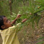 Vanastree Camps Gallery 46